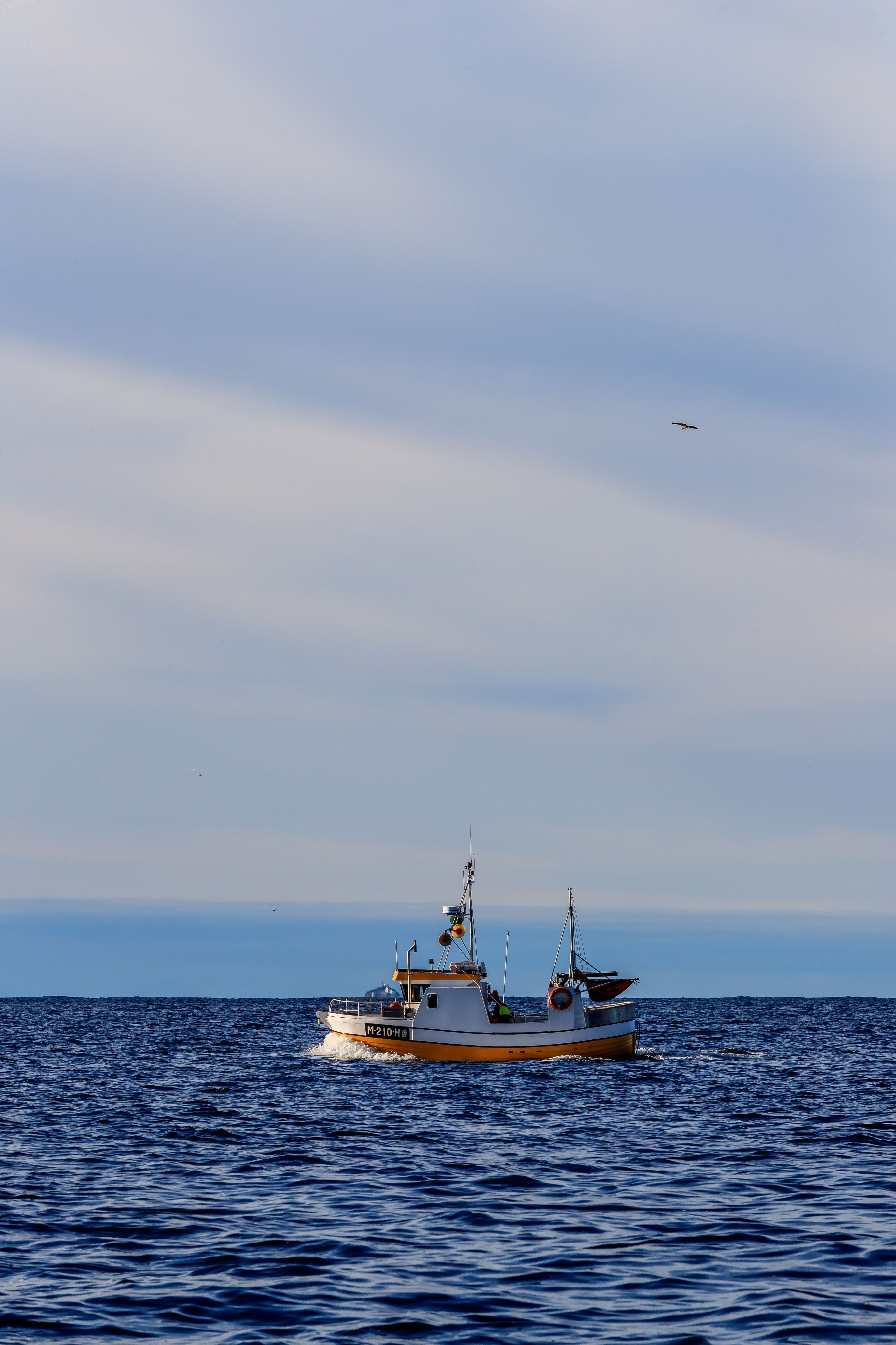 ”Our employees practically do our work for us”