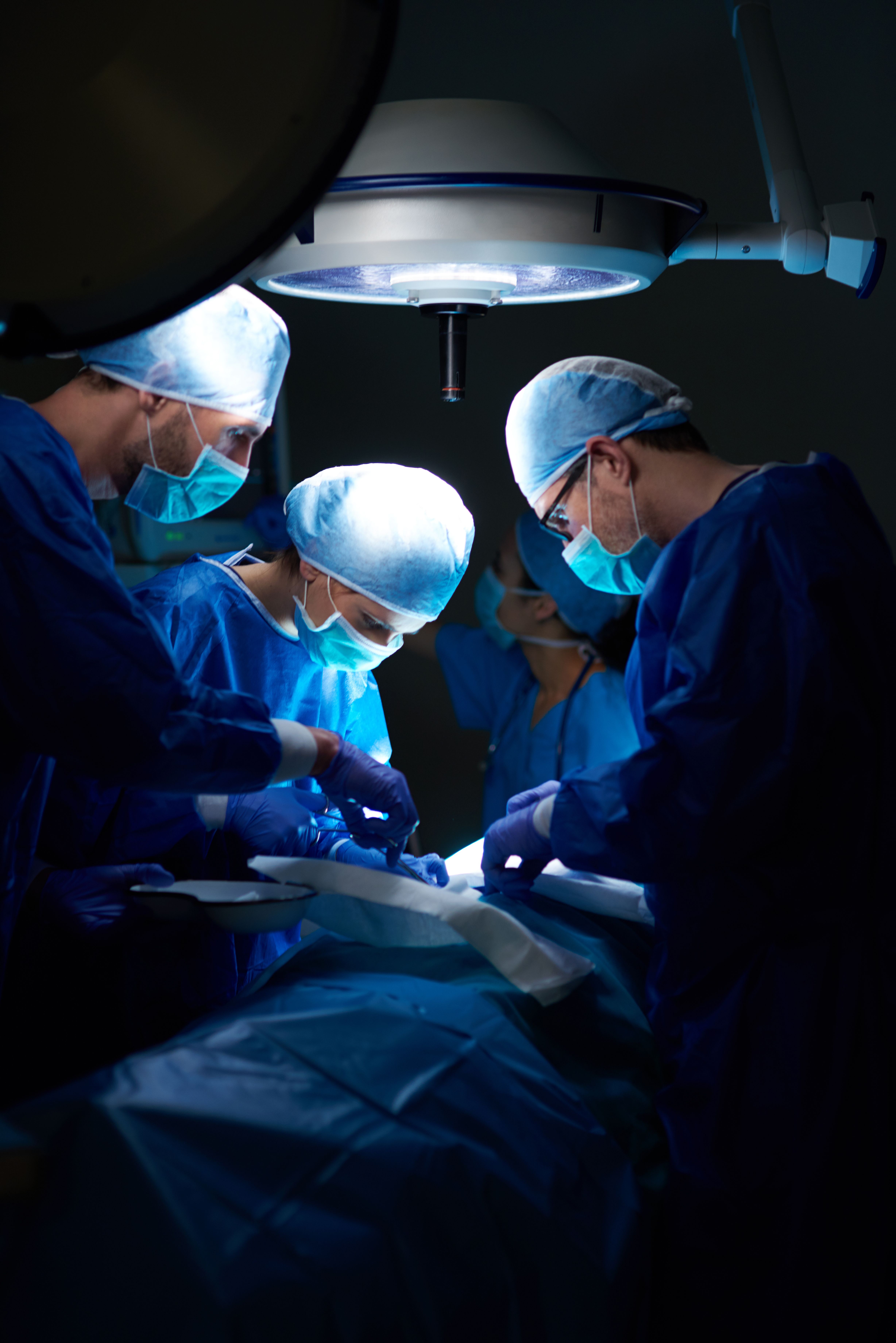 ”I’m passionate about how much I like Skovik”